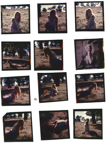 TON_A_Contact_051: Ursula Andress