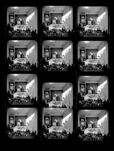 TON_AliceCooper_060: Alice Cooper