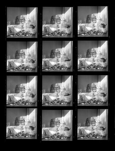 TON_AliceCooper_062: Alice Cooper