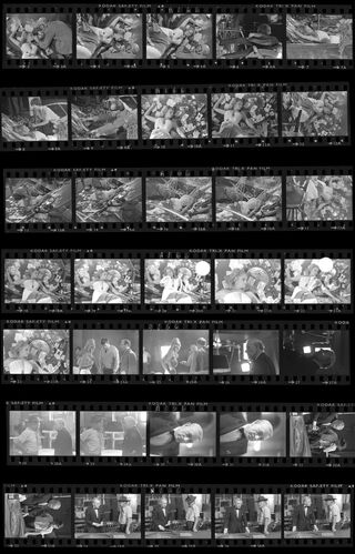 TON_Andress_Contact_003: Ursula Andress