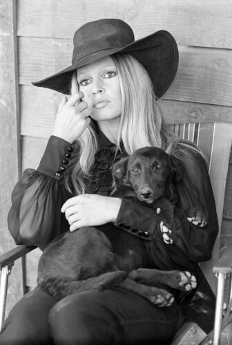 TON_BB046: Brigitte Bardot