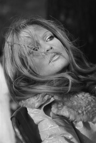 TON_BB063: Brigitte Bardot