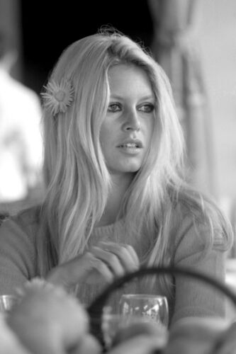 TON_BB069: Brigitte Bardot