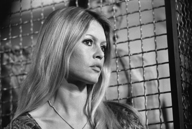 TON_BB104: Brigitte Bardot