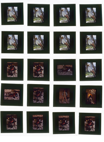 TON_Bond_Contact_100: Jill St John