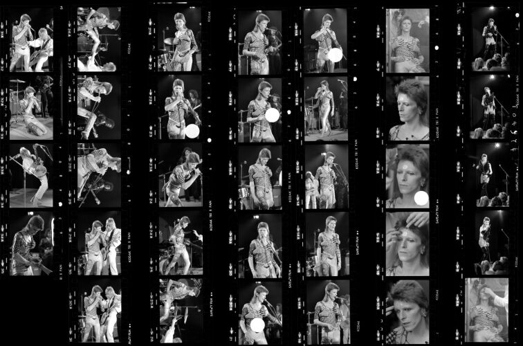 TON_Bowie_Contact_08: David Bowie