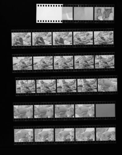 TON_Caine Contact_222: Michael Caine