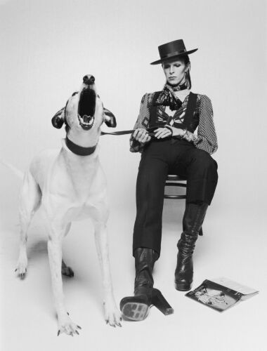 TON_DB003: David Bowie for Diamond Dog