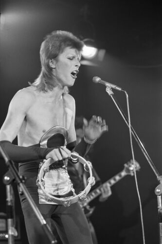 TON_DB088: David Bowie