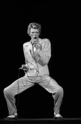 TON_DB093: David Bowie