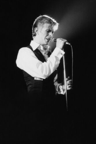 TON_DB100: David Bowie