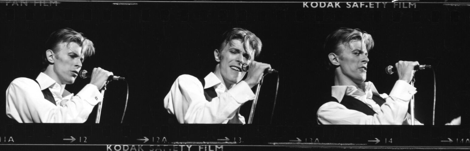 TON_DB130: David Bowie