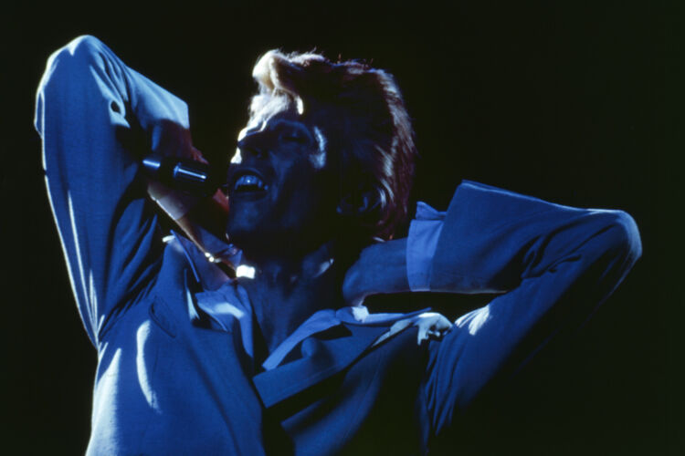 TON_DB169: David Bowie