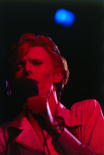 TON_DB229: David Bowie