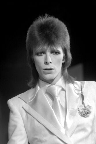 TON_DB360: David Bowie