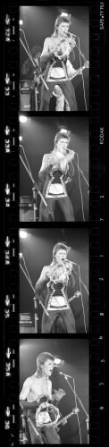 TON_DB433: David Bowie