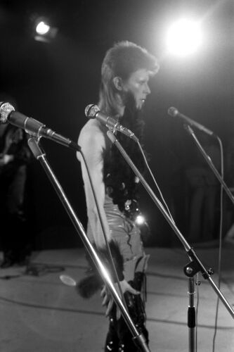 TON_DB436: David Bowie