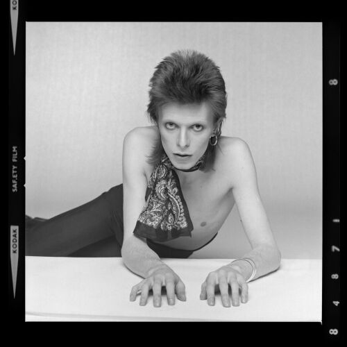 TON_DB498: David Bowie