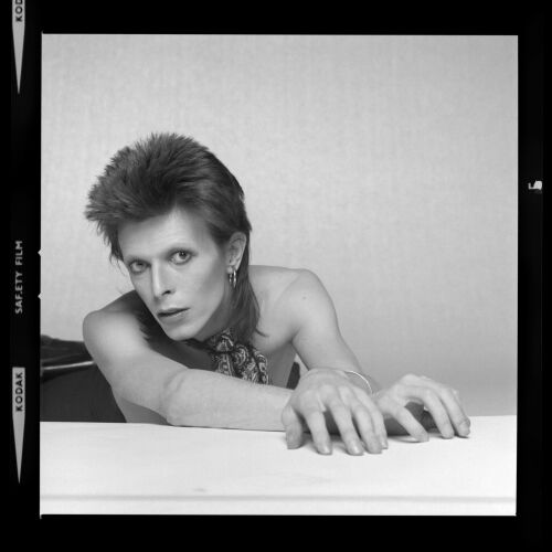 TON_DB499: David Bowie