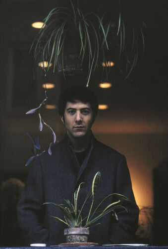 TON_DH009: Dustin Hoffman