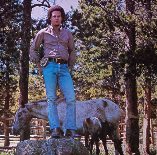 TON_EJ651: Elton John's Rock of the Westies 1975