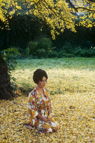 TON_ET003: Elizabeth Taylor