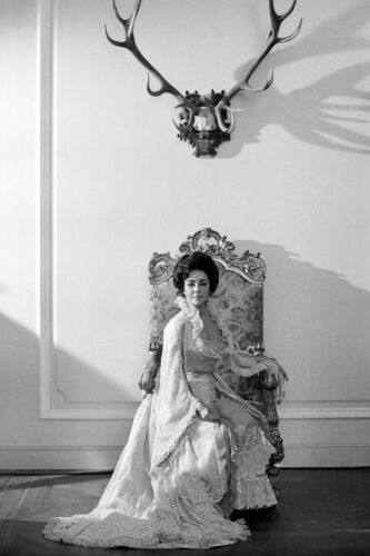 TON_ET020: Elizabeth Taylor