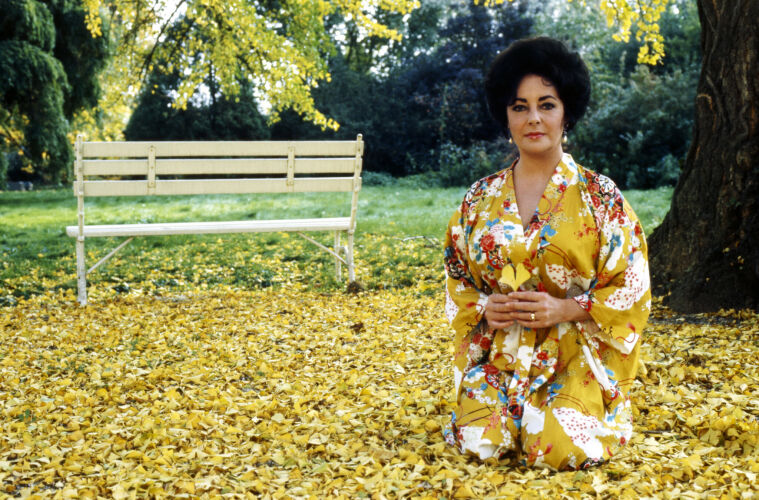 TON_ET085: Elizabeth Taylor