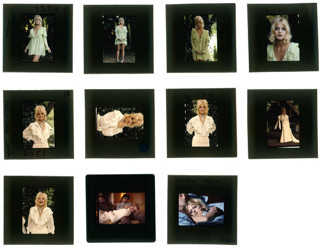 TON_H_Contact_031: Goldie Hawn