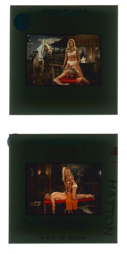 TON_H_Contact_068: John Huston