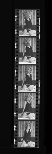 TON_H_Contact_075: Vicky Hodge