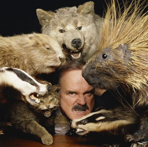 TON_JCL002: John Cleese