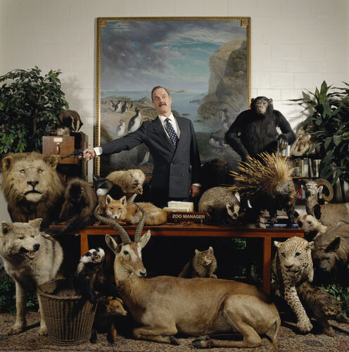 TON_JCL006: Cleese And Creatures