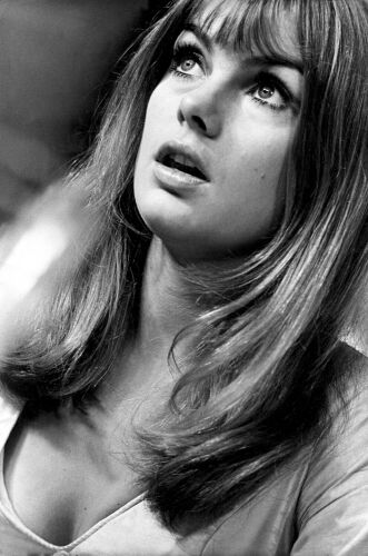 TON_JS006: Jean Shrimpton