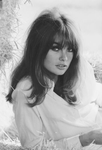 TON_JS024: Jean Shrimpton