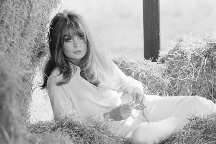 TON_JS027: Jean Shrimpton