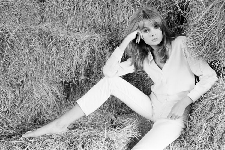 TON_JS028: Jean Shrimpton