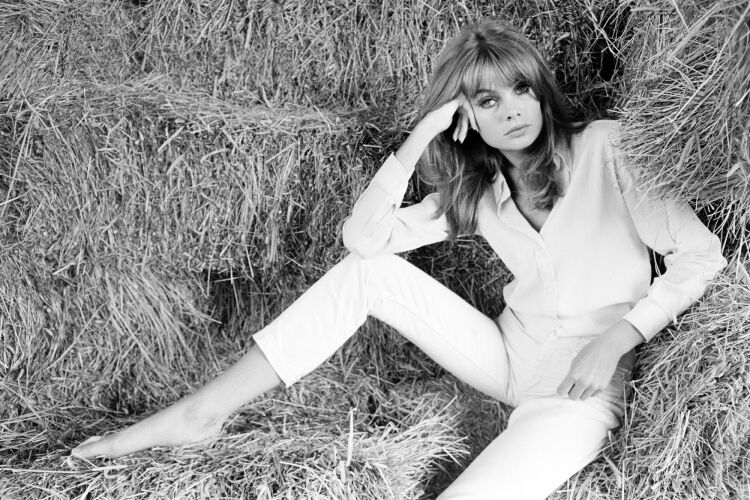 TON_JS028_scan1: Jean Shrimpton