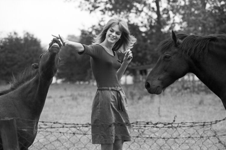 TON_JS034: Jean Shrimpton