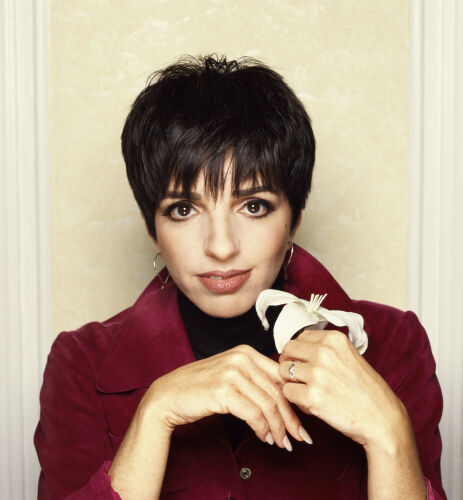 TON_LIM007: Liza Minnelli