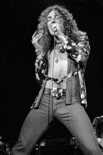 TON_LZ091: Robert Plant