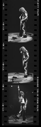 TON_LZ116: Led Zeppelin