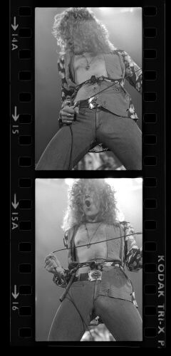 TON_LZ117: Led Zeppelin