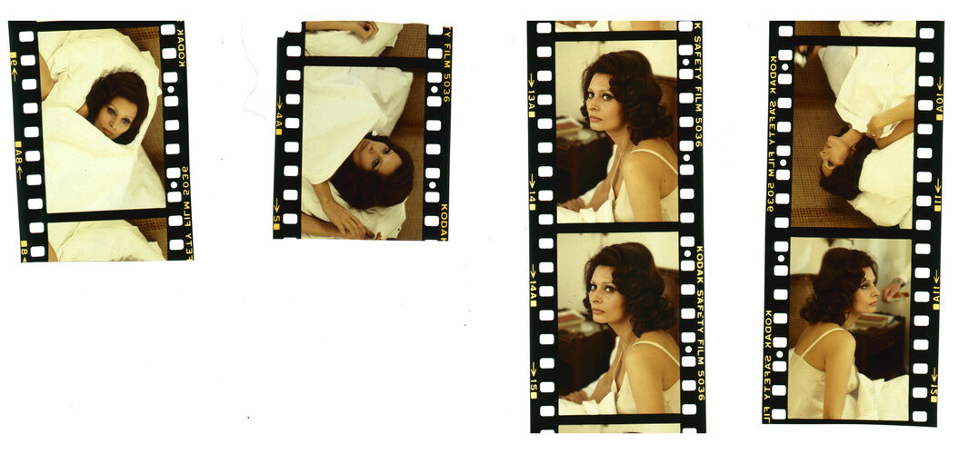 TON_L_Contact_009: Sophia Loren