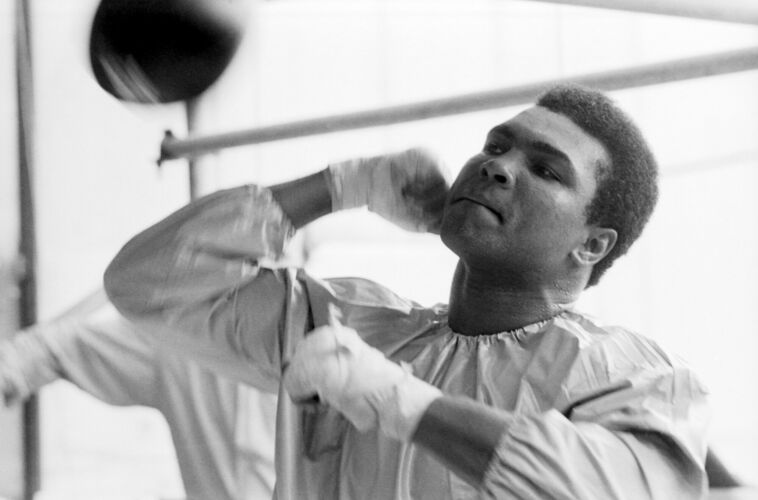 TON_MA011: Muhammad Ali