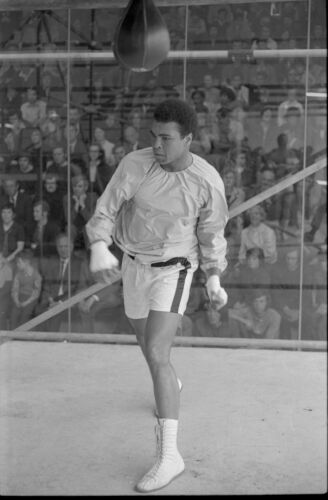 TON_MA016: Muhammad Ali