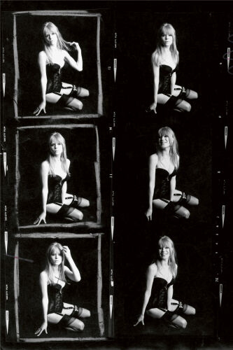 TON_MF032: Marianne Faithfull