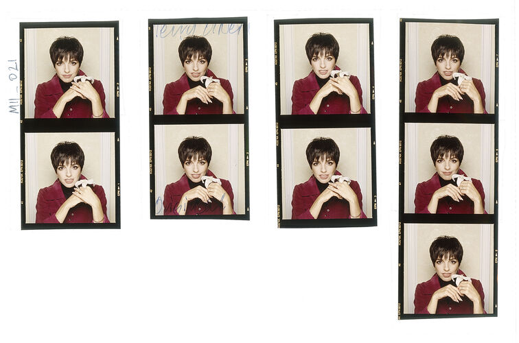 TON_MM_LIM_021: Liza Minnelli