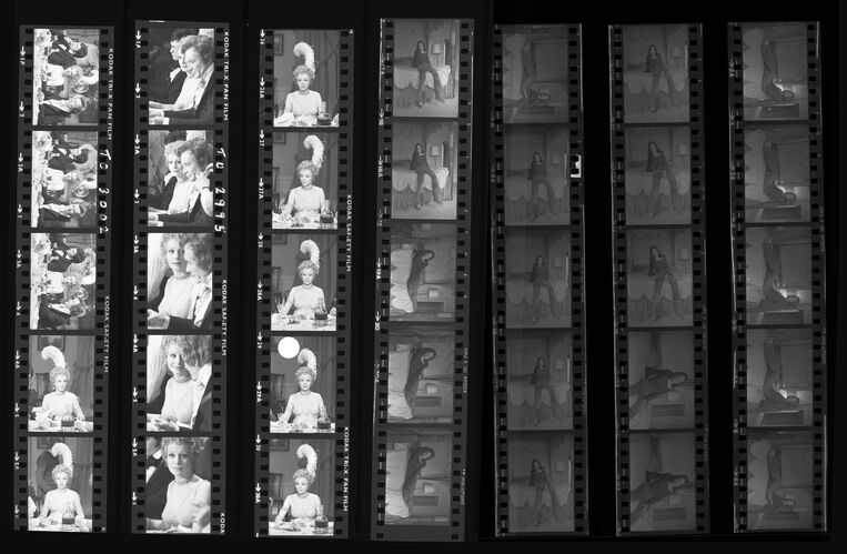 TON_M_Contact_111: Sarah Miles