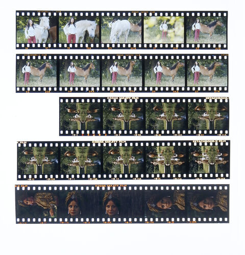 TON_M_Contact_176: Sarah Miles